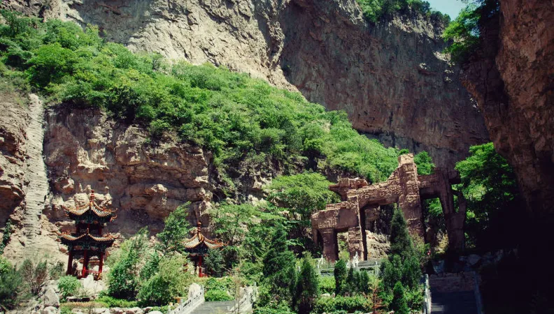 zones humides de Qixian, biodiversité, Chine